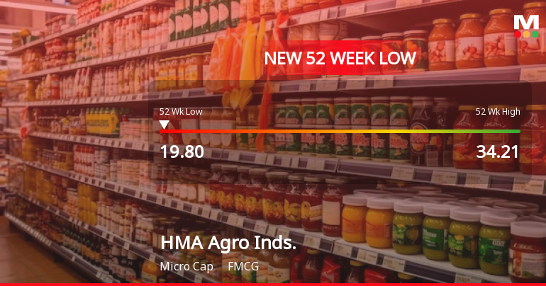 HMA Agro Industries Ltd Falls to 52-Week Low of Rs 19.8 as Sell-Off Deepens
