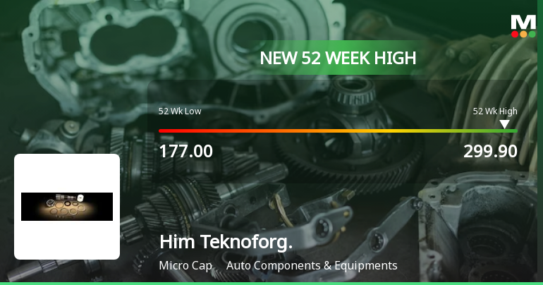 Broad-Based Technical Strength Lifts Him Teknoforge Ltd to 52-Week High of Rs 299.9