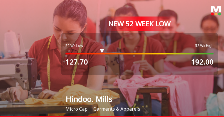 Markets Rally, But Hindoostan Mills Ltd Sinks to 52-Week Low in Stock-Specific Sell-Off