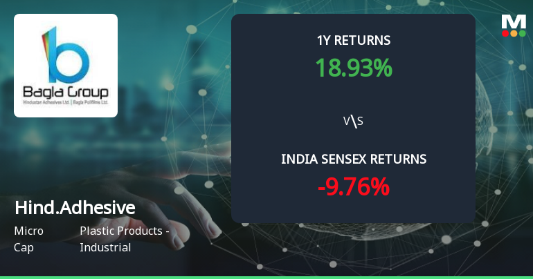 Golden Cross Confirmed: Do Hindustan Adhesives Ltd's Other Technical Indicators Agree?