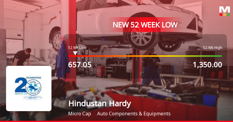 Markets Rally, But Hindustan Hardy Ltd Sinks to 52-Week Low in Stock-Specific Sell-Off