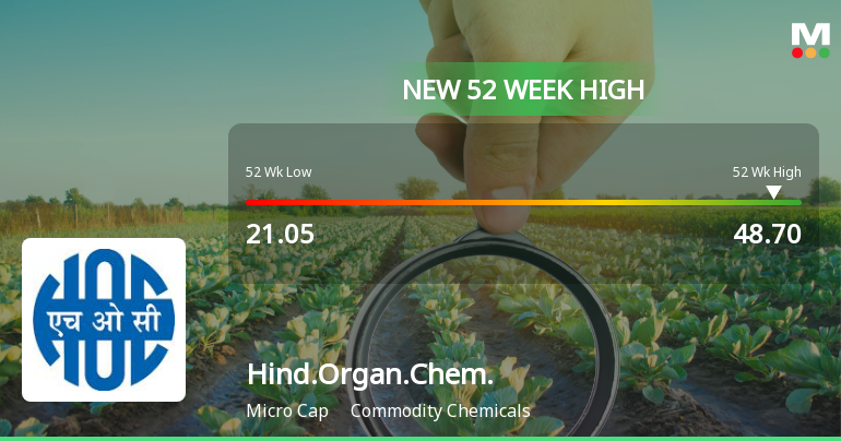 Broad-Based Technical Strength Lifts Hindustan Organic Chemicals Ltd to 52-Week High of Rs 48.7