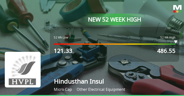 Broad-Based Technical Strength Lifts Hindusthan Insulators & Industries Ltd to 52-Week High of Rs 486.55