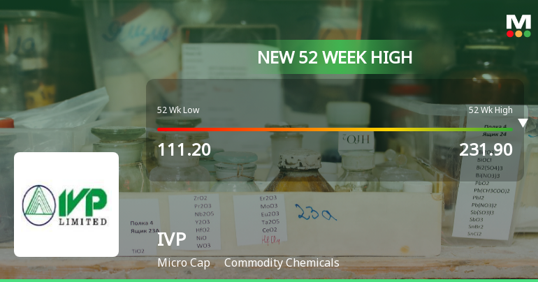 Broad-Based Technical Strength Lifts IVP Ltd to 52-Week High of Rs 231.9
