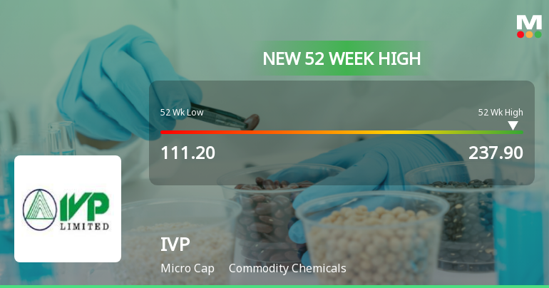 Broad-Based Technical Strength Lifts IVP Ltd to 52-Week High of Rs 237.9