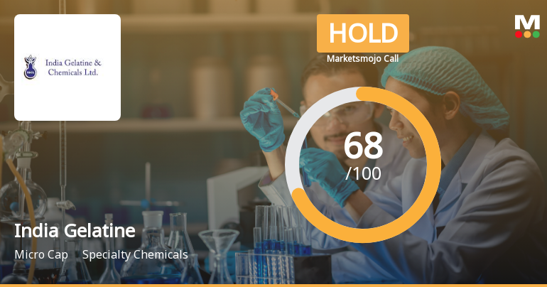 India Gelatine & Chemicals Ltd Downgraded to Hold Amid Mixed Technical and Valuation Signals