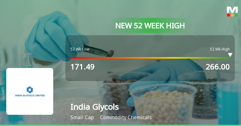 Broad-Based Technical Strength Lifts India Glycols Ltd to 52-Week High of Rs 266