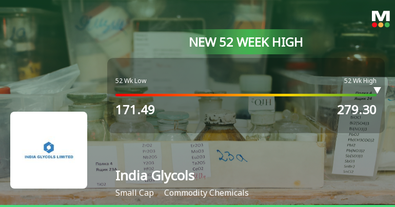 Broad-Based Technical Strength Lifts India Glycols Ltd to 52-Week High of Rs 279.3