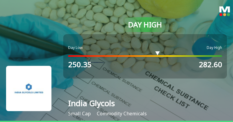 India Glycols Ltd Surges 11.28% to Day's High of Rs 269.5 — Outperforms Sector by 7.93 Percentage Points