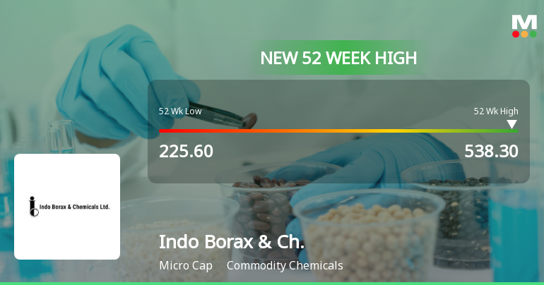 Broad-Based Technical Strength Lifts Indo Borax & Chemicals Ltd to 52-Week High of Rs 538.9