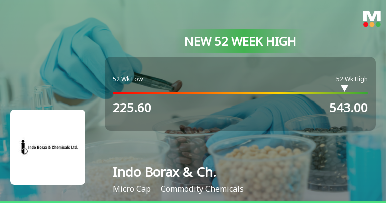 Broad-Based Technical Strength Lifts Indo Borax & Chemicals Ltd to 52-Week High of Rs 543