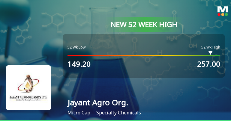 Broad-Based Technical Strength Lifts Jayant Agro Organics Ltd to 52-Week High of Rs 257