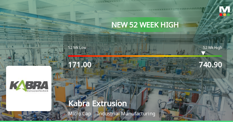 Broad-Based Technical Strength Lifts Kabra Extrusion Technik Ltd to 52-Week High of Rs 740.9