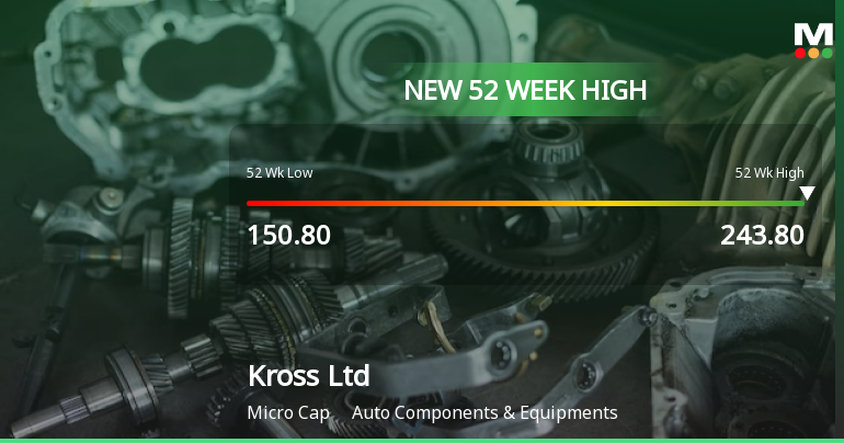 Broad-Based Technical Strength Lifts Kross Ltd to 52-Week High of Rs 243.8