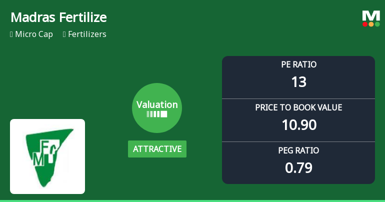 Madras Fertilizers Ltd Valuation Shifts Signal Renewed Price Attractiveness