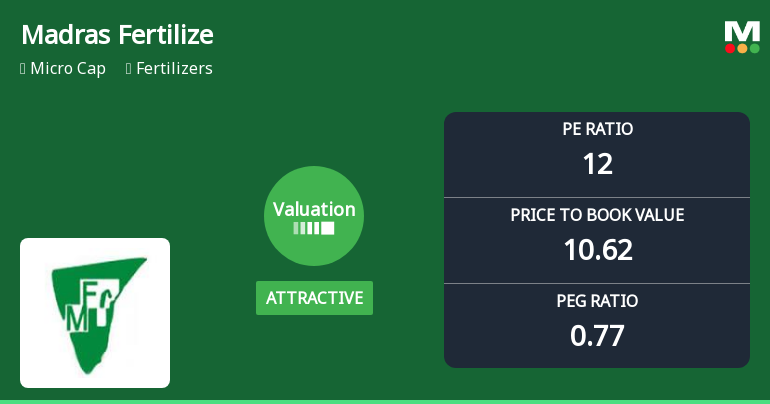 Madras Fertilizers Ltd Valuation Shifts Signal Renewed Price Attractiveness