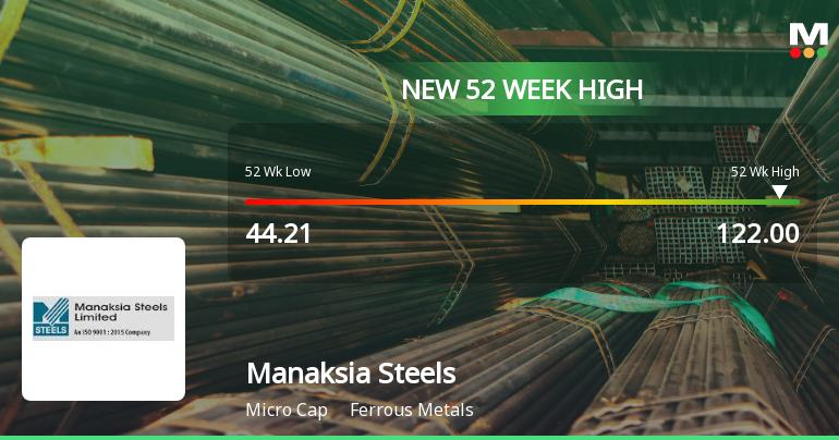 Broad-Based Technical Strength Lifts Manaksia Steels Ltd to 52-Week High of Rs 121