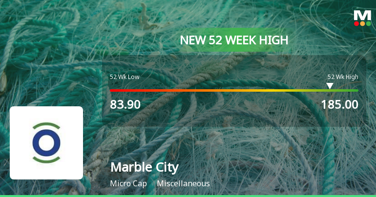 Broad-Based Technical Strength Lifts Marble City India Ltd to 52-Week High of Rs 185