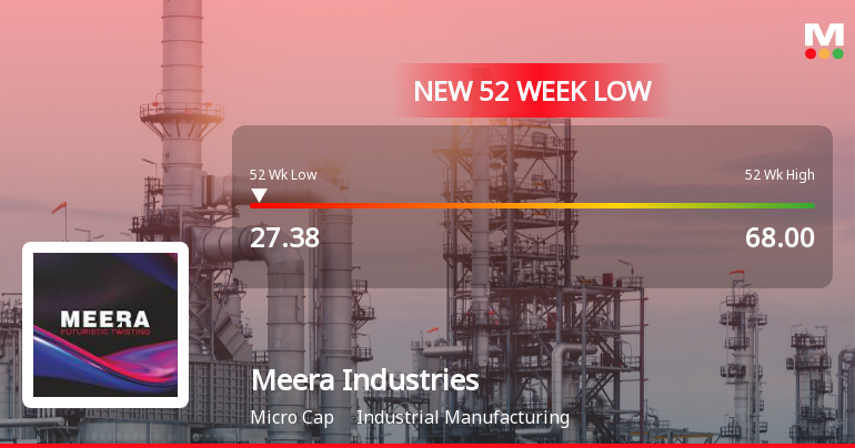 Five Consecutive Losses Push Meera Industries Ltd to a New 52-Week Low
