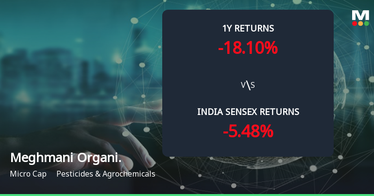 Golden Cross Forms in Meghmani Organics Ltd — On a Day the Stock Rose 2.42%. What the Mixed Signals Mean