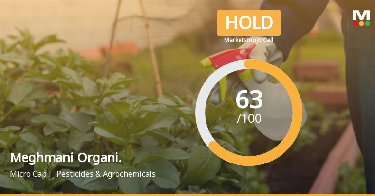 Meghmani Organics Ltd Upgraded to Hold as Technicals Improve and Financials Strengthen