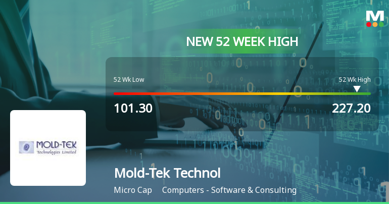 Broad-Based Technical Strength Lifts Mold-Tek Technologies Ltd to 52-Week High of Rs 227.2