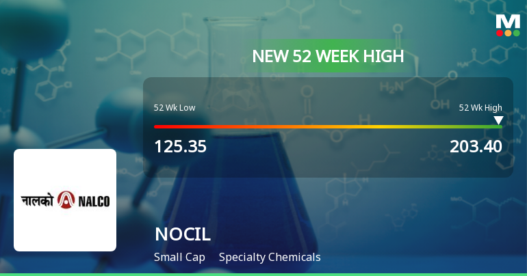 Broad-Based Technical Strength Lifts NOCIL Ltd to 52-Week High of Rs 203.4
