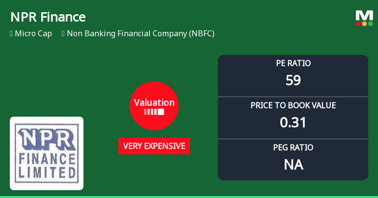 NPR Finance Ltd Valuation Shifts Signal Heightened Price Risk Amid Mixed Returns