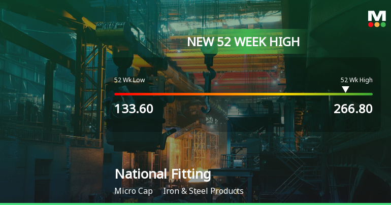 Broad-Based Technical Strength Lifts National Fittings Ltd to 52-Week High of Rs 266.8