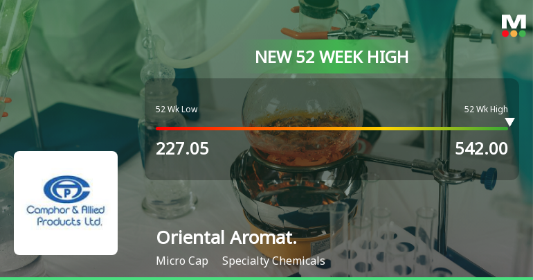Broad-Based Technical Strength Lifts Oriental Aromatics Ltd to 52-Week High of Rs 535