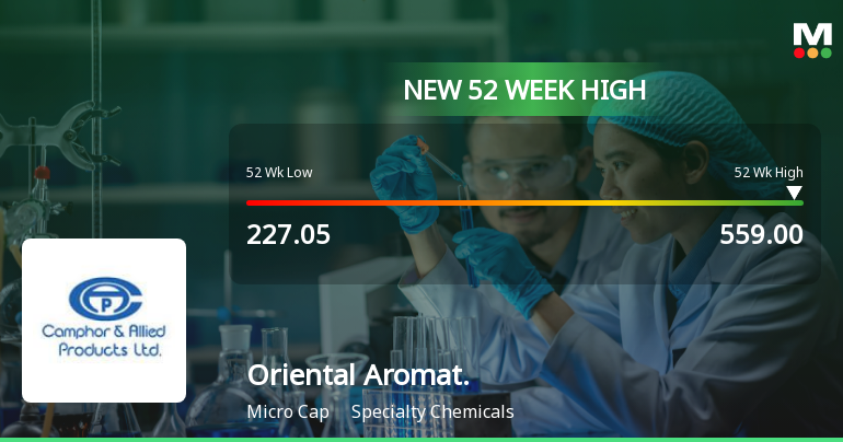 Broad-Based Technical Strength Lifts Oriental Aromatics Ltd to 52-Week High of Rs 558