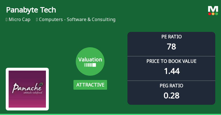 Panabyte Technologies Ltd Valuation Shifts Signal Price Attractiveness Amid Market Challenges