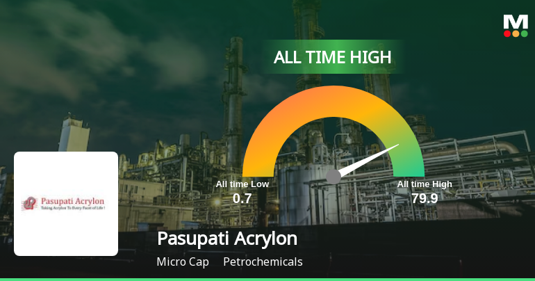 Pasupati Acrylon Ltd Hits All-Time High of Rs 79.9 as Momentum Builds Across Timeframes