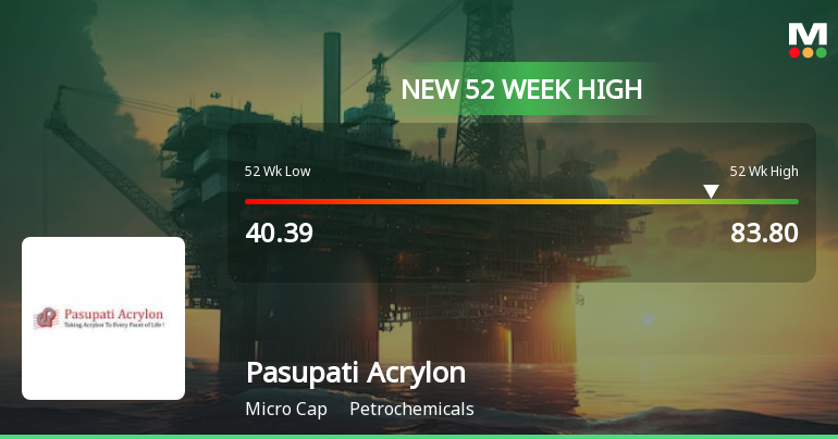 Broad-Based Technical Strength Lifts Pasupati Acrylon Ltd to 52-Week High of Rs 83.8
