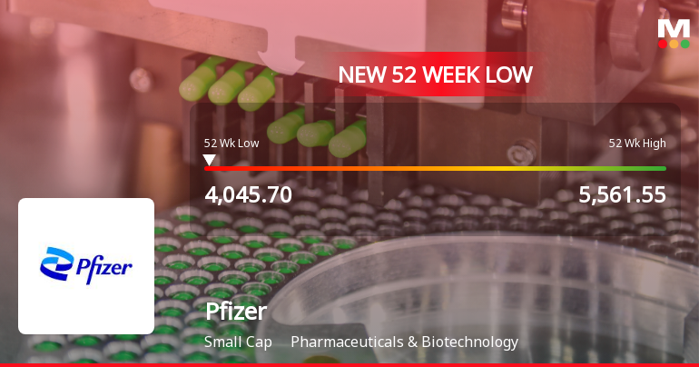 Markets Rally, But Pfizer Ltd. Sinks to 52-Week Low in Stock-Specific Sell-Off