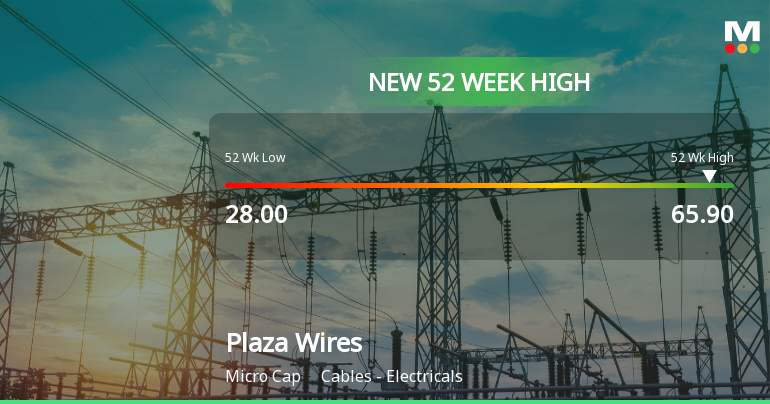 Broad-Based Technical Strength Lifts Plaza Wires Ltd to 52-Week High of Rs 65.9