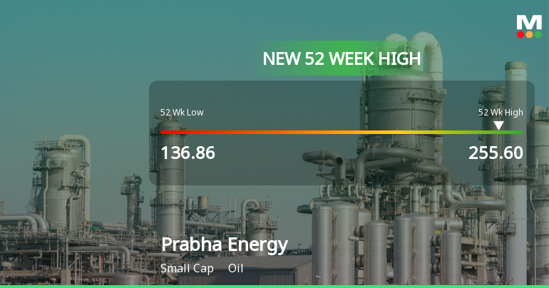 Broad-Based Technical Strength Lifts Prabha Energy Ltd to 52-Week High of Rs 255.6