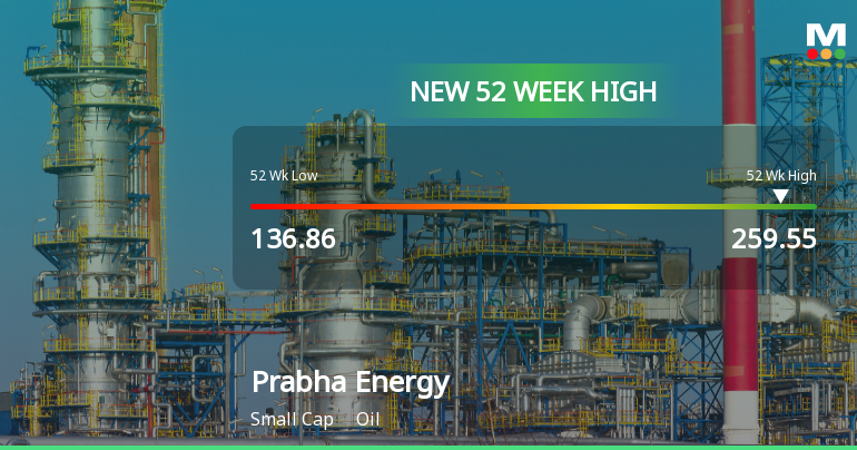 Broad-Based Technical Strength Lifts Prabha Energy Ltd to 52-Week High of Rs 259.55