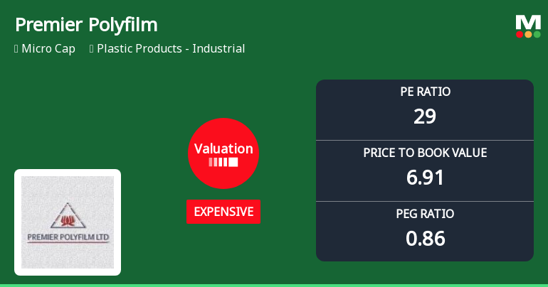 Premier Polyfilm Ltd’s Valuation Shifts Signal Changing Market Sentiment