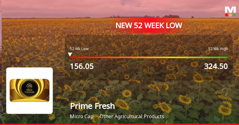 Prime Fresh Ltd Falls to 52-Week Low Amidst Divergent Financial and Market Signals