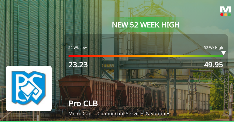Broad-Based Technical Strength Lifts Pro CLB Global Ltd to 52-Week High of Rs 49.95