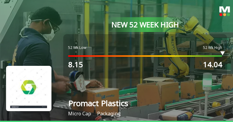 Broad-Based Technical Strength Lifts Promact Plastis Ltd to 52-Week High of Rs 14.04