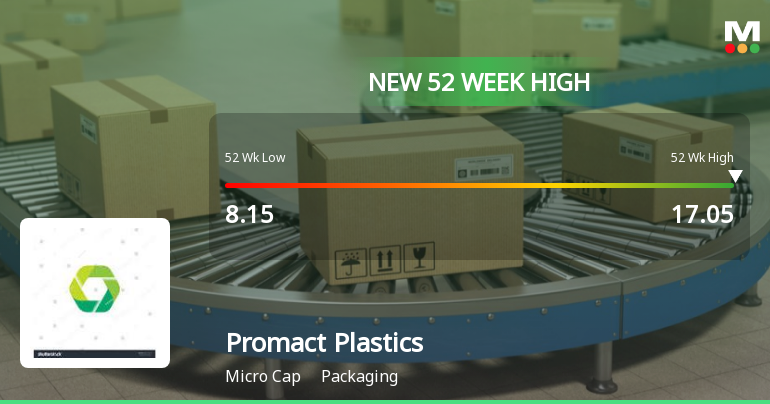 Broad-Based Technical Strength Lifts Promact Plastis Ltd to 52-Week High of Rs 17.05