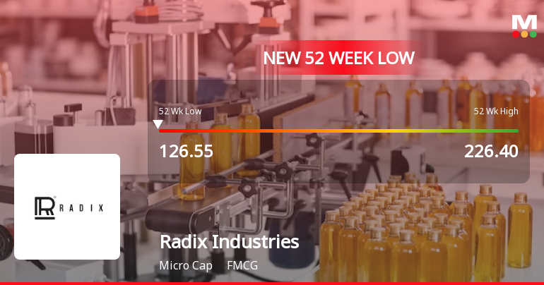 Radix Industries Falls to 52-Week Low of Rs 126.05 as Sell-Off Deepens