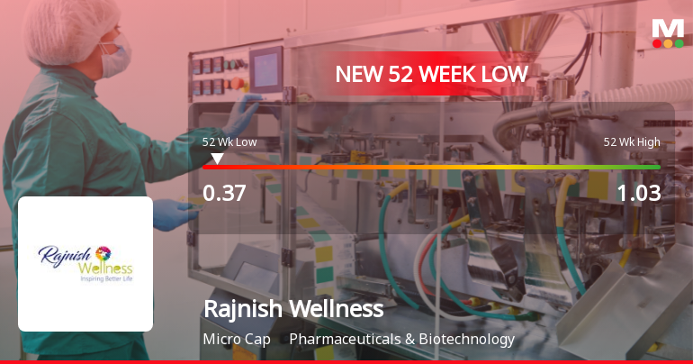 Rajnish Wellness Ltd Falls to 52-Week Low of Rs 0.37 as Sell-Off Deepens