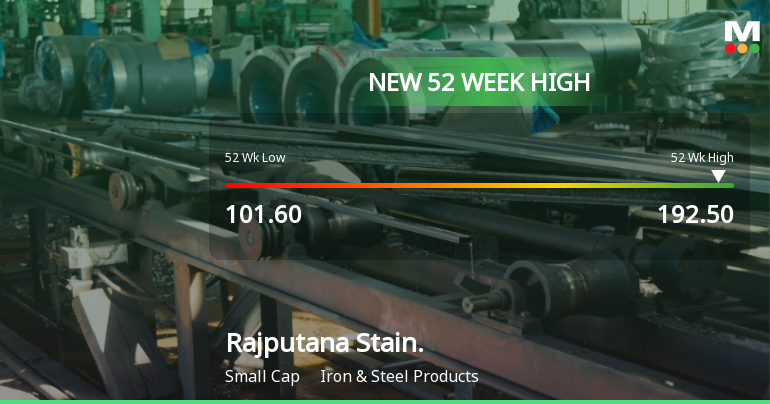 Broad-Based Technical Strength Lifts Rajputana Stainless Ltd to 52-Week High of Rs 192.5