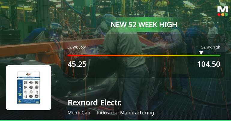 Broad-Based Technical Strength Lifts Rexnord Electronics & Controls Ltd to 52-Week High of Rs 104.5