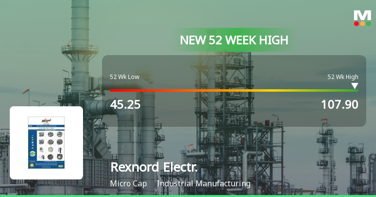 Broad-Based Technical Strength Lifts Rexnord Electronics & Controls Ltd to 52-Week High of Rs 107.9