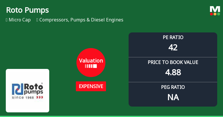 Roto Pumps Ltd Valuation Shifts Signal Changing Price Attractiveness