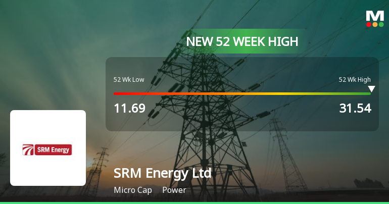 Broad-Based Technical Strength Lifts SRM Energy Ltd to 52-Week High of Rs 31.54